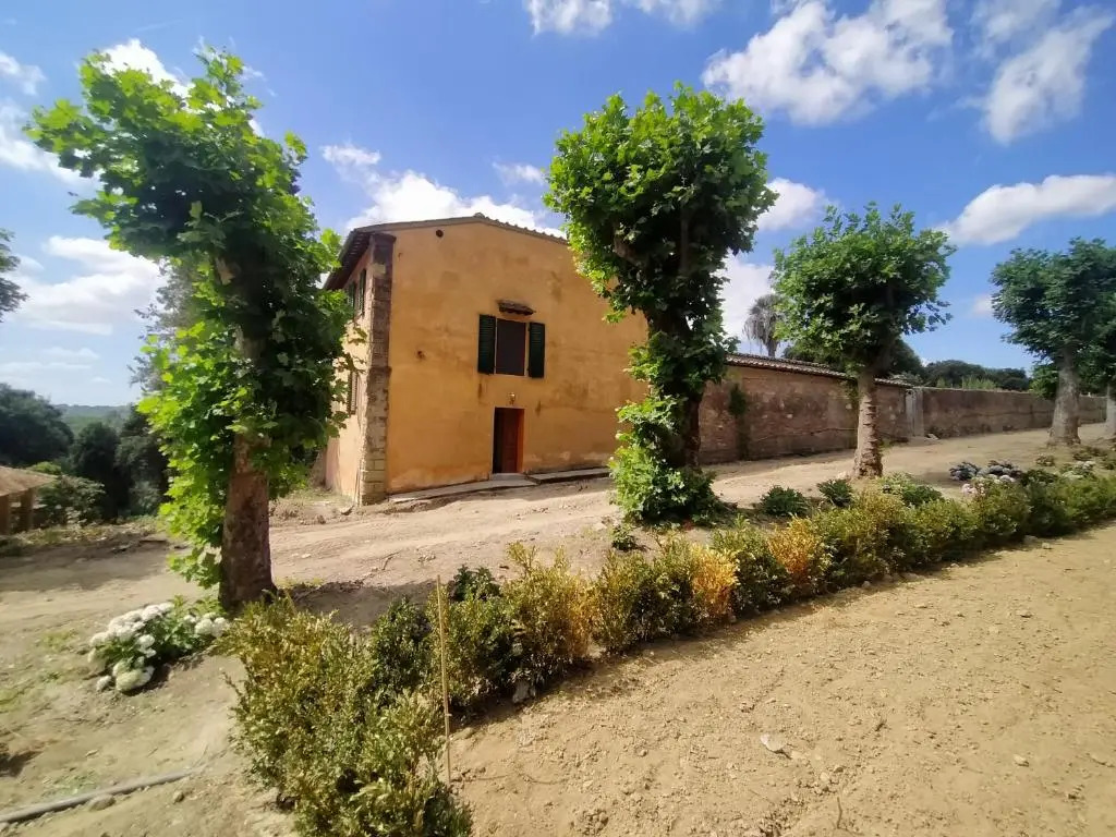 The garden house