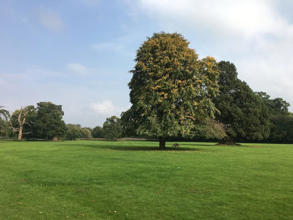 Offley Place