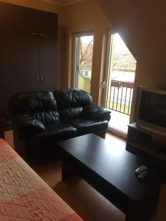 Aleksandar Apartment