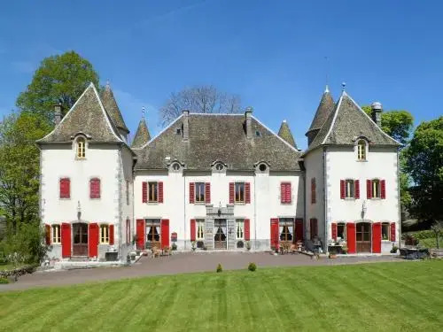 Chateau De Chazelles