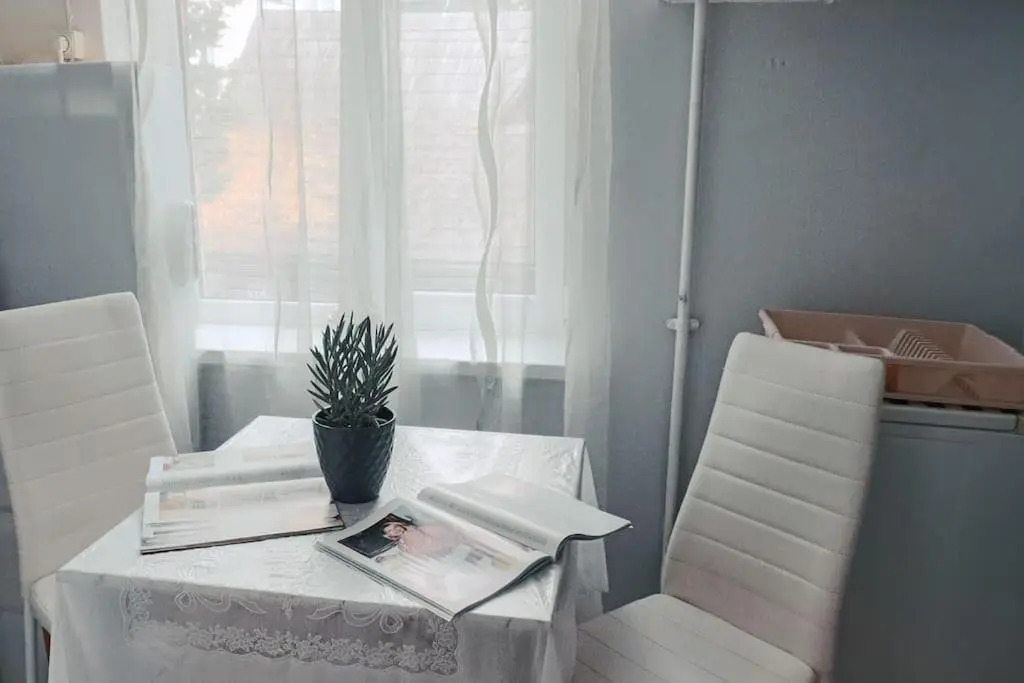 3 Room Apartment In Laisves Avenue