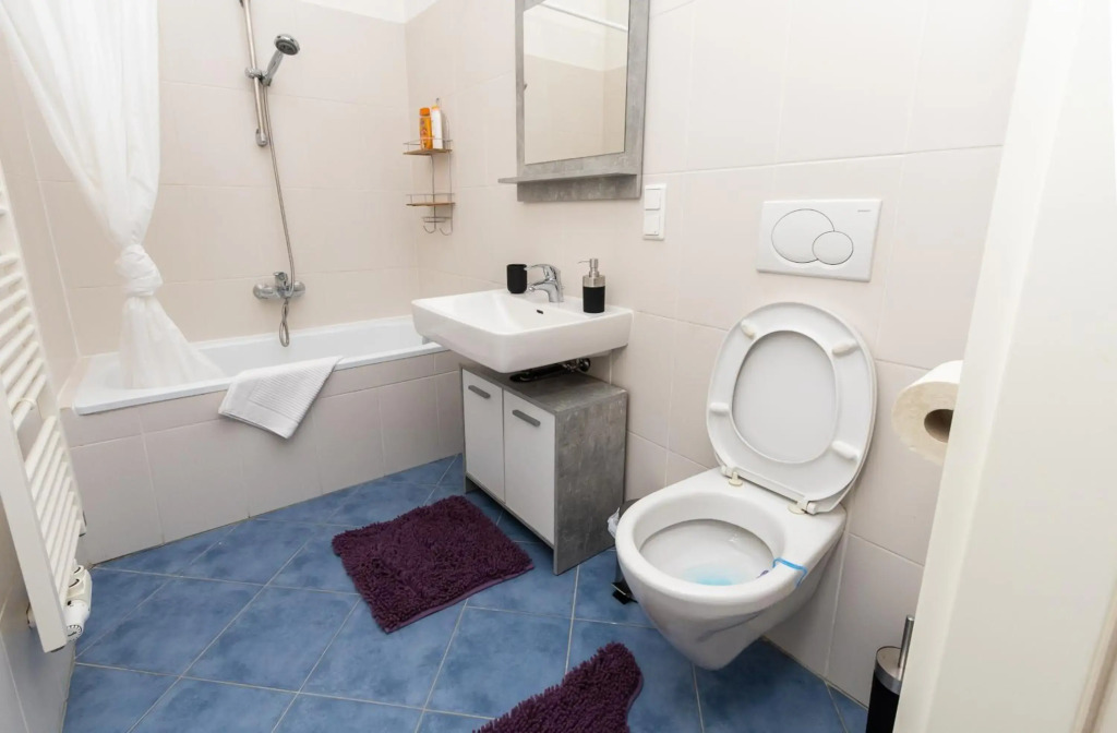Sunshine deluxe apartment with porch near Schönbrunn palace and Westbahnhof