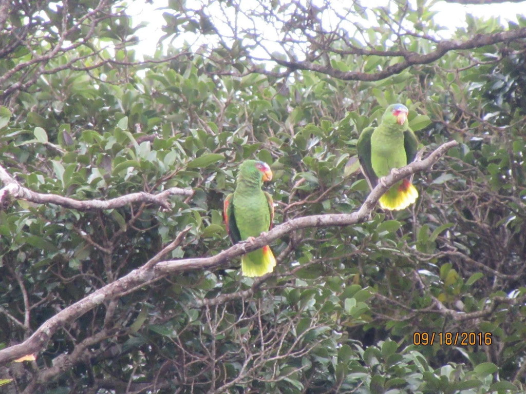 Villa Verde Monteverde