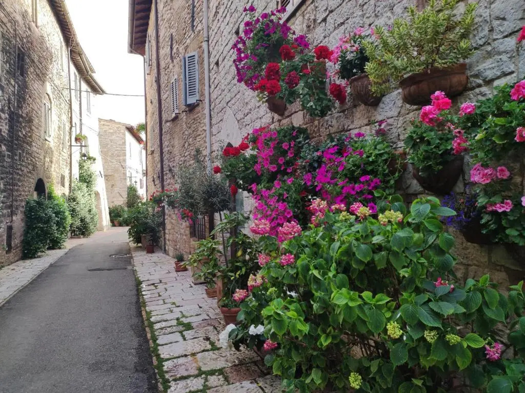 Appartamento Antica Assisi