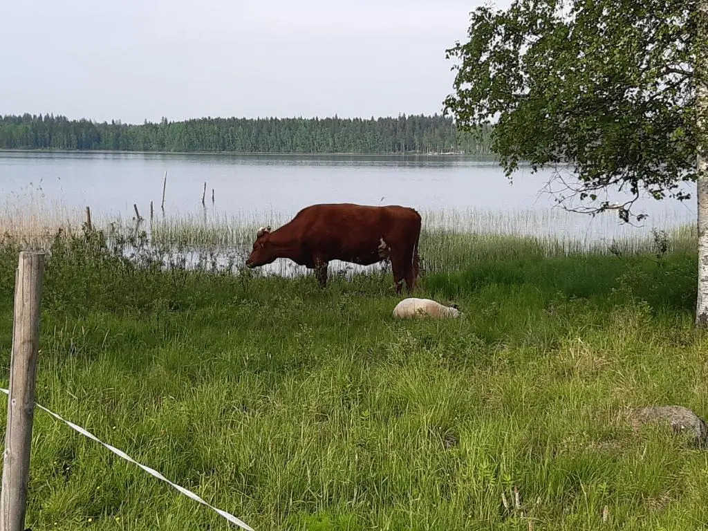 Hyvölän Mökit