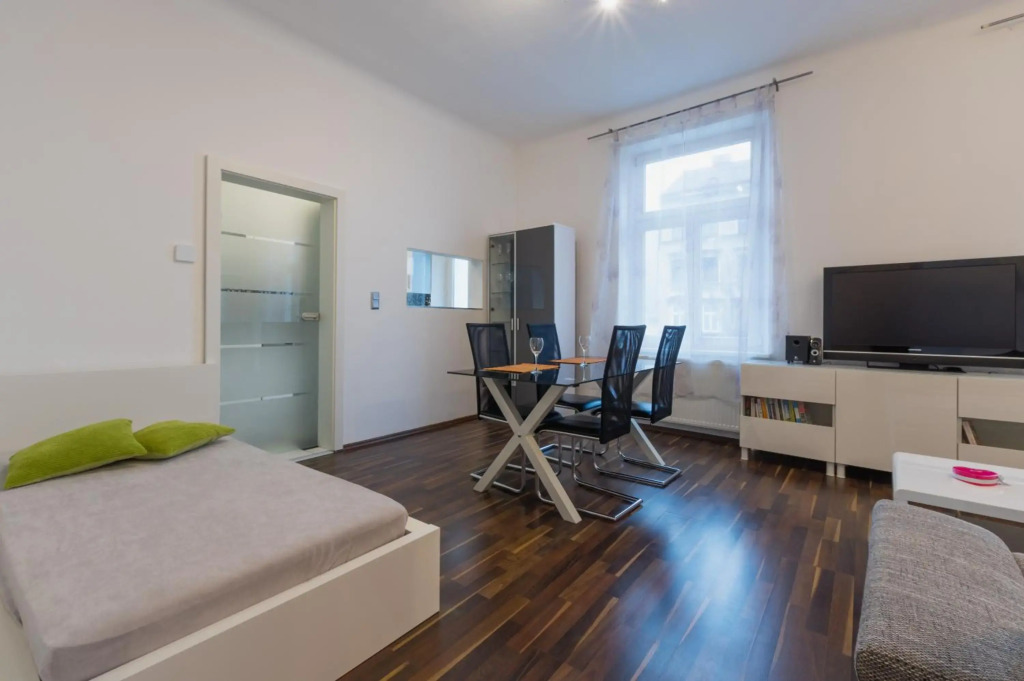Spacious Apartment in Center with Terrace