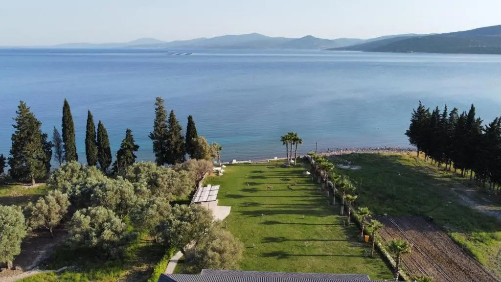 Olive Beach Residence