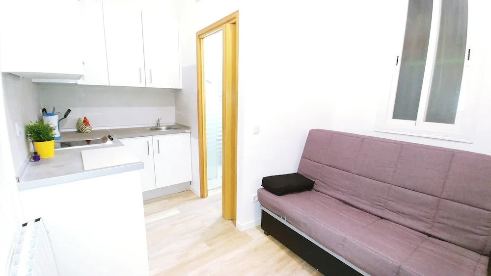 Luxury Flat Lavapies
