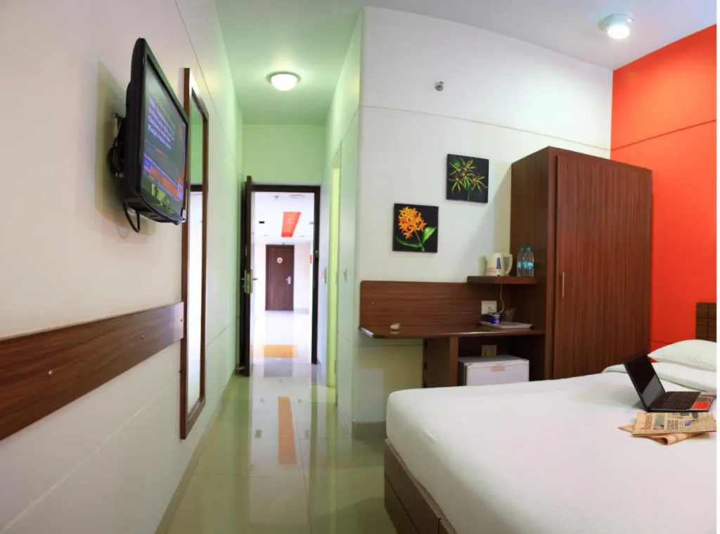 Ginger Faridabad