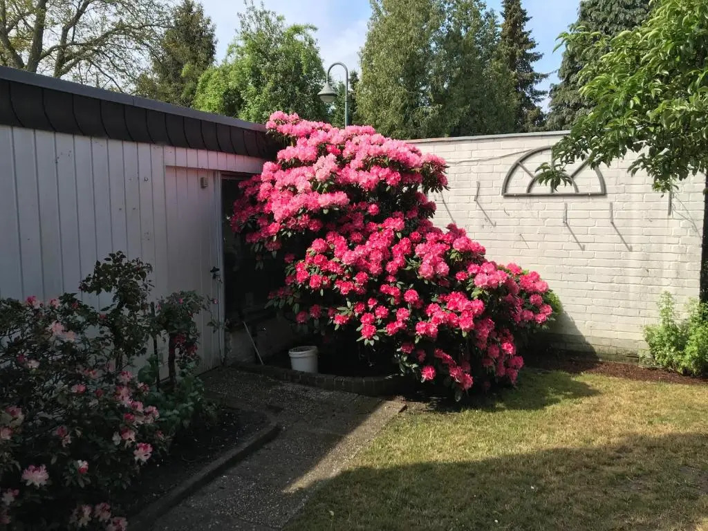 Ferienwohnung Kathe