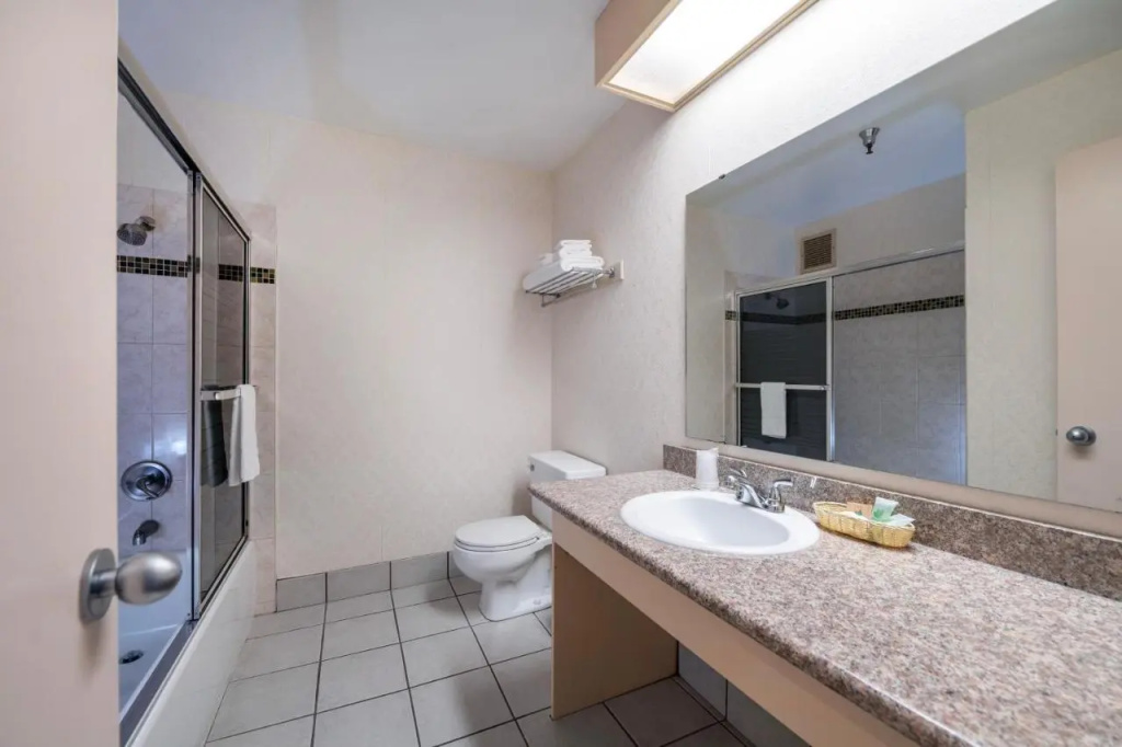 Hotel International