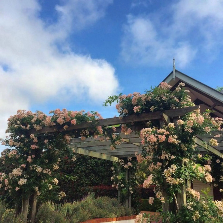 Shambala Estate Cottages