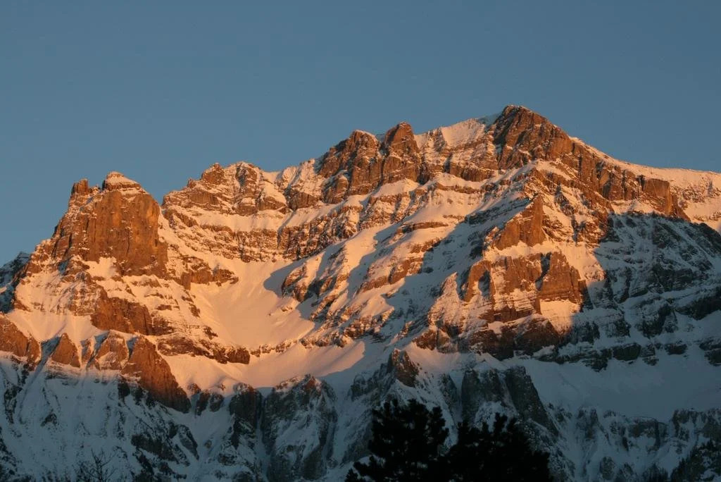 Chalet Silky