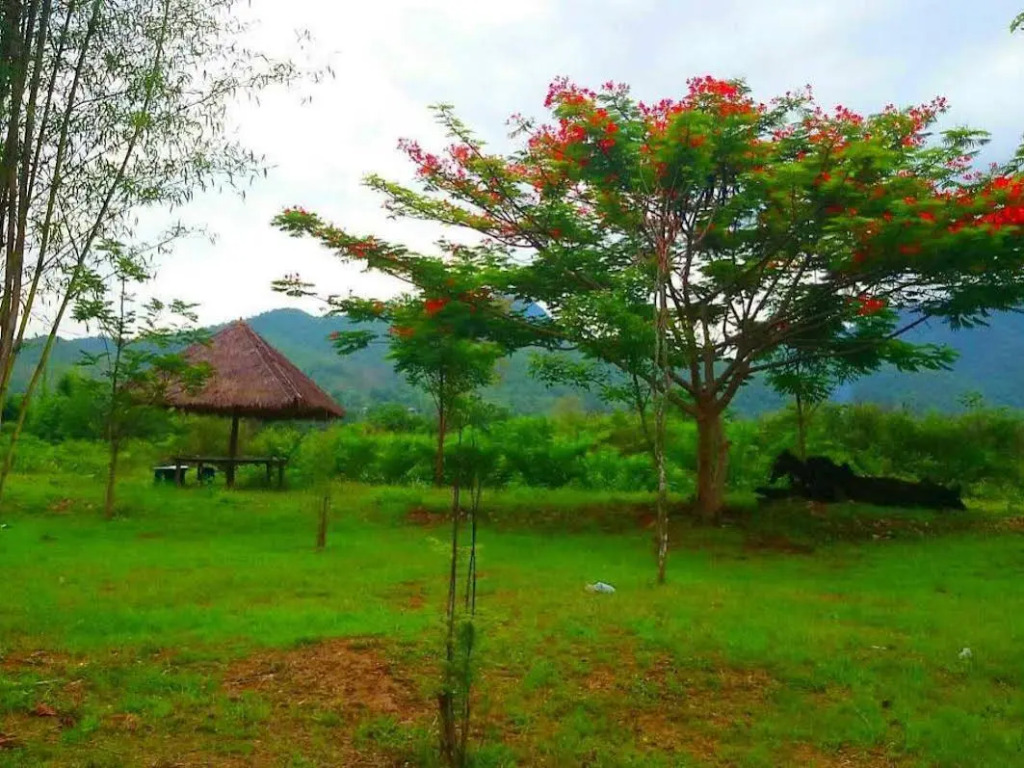 Pailin House