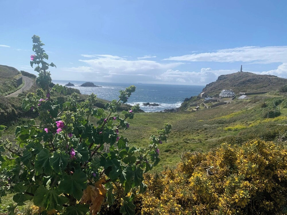 Cape View