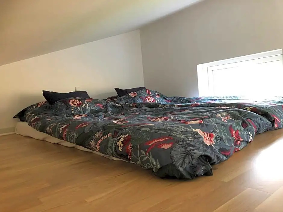 Fly B&B