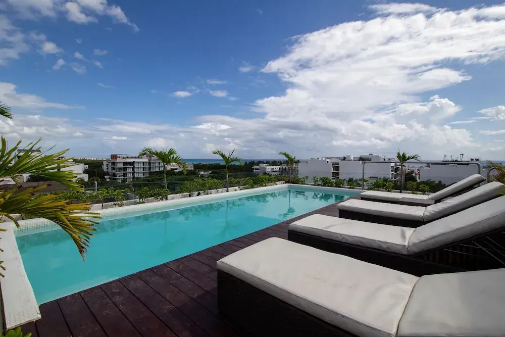 Areca 201 by CocoBR