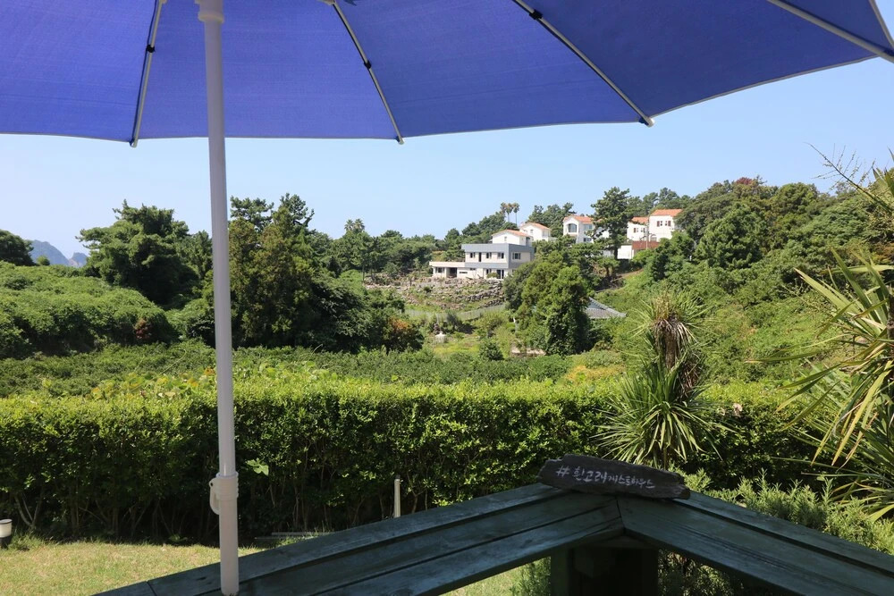 White Whale Guesthouse - Hostel