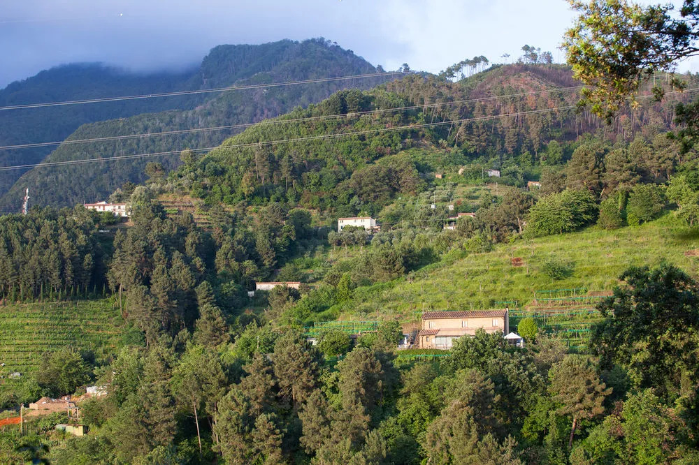 Agriturismo Karma