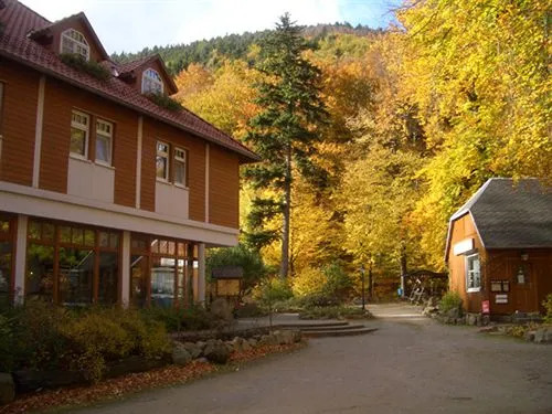 Kurpark Hotel Im Ilsetal