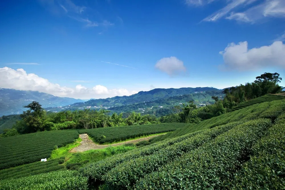 Xu Jia Chayuan B&B