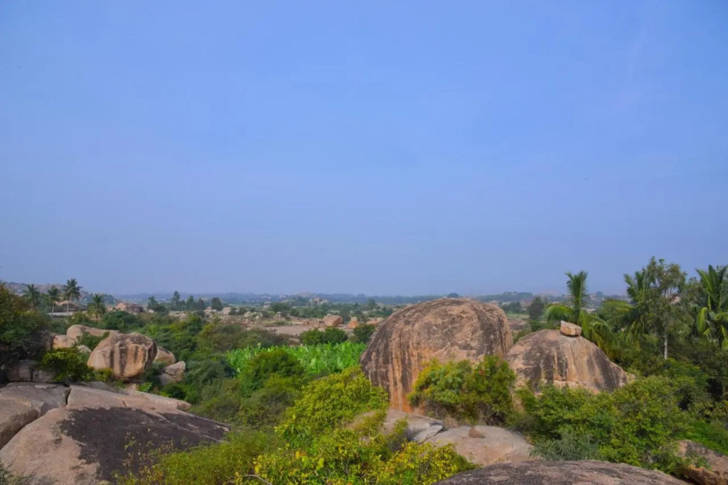 Gopi Plantation Homestay