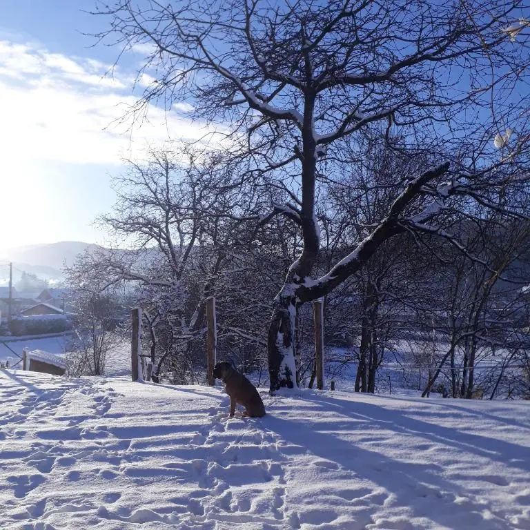 Le Gîte du Cheval Blanc