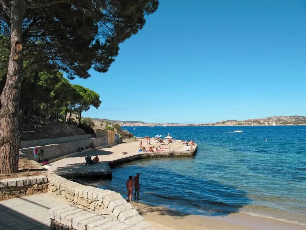 Mimosa Punta Sardegna