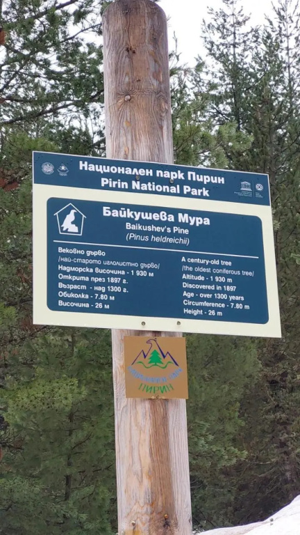 500м. от лифта Сладък дом в Белведере СПА комплекс