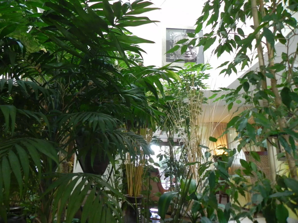 Hotel Torres de Somo
