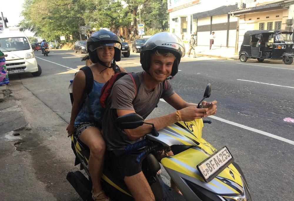 Kandy City Monkey