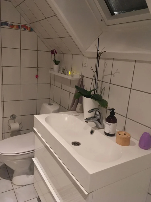 Exclusive Villa in Copenhagen