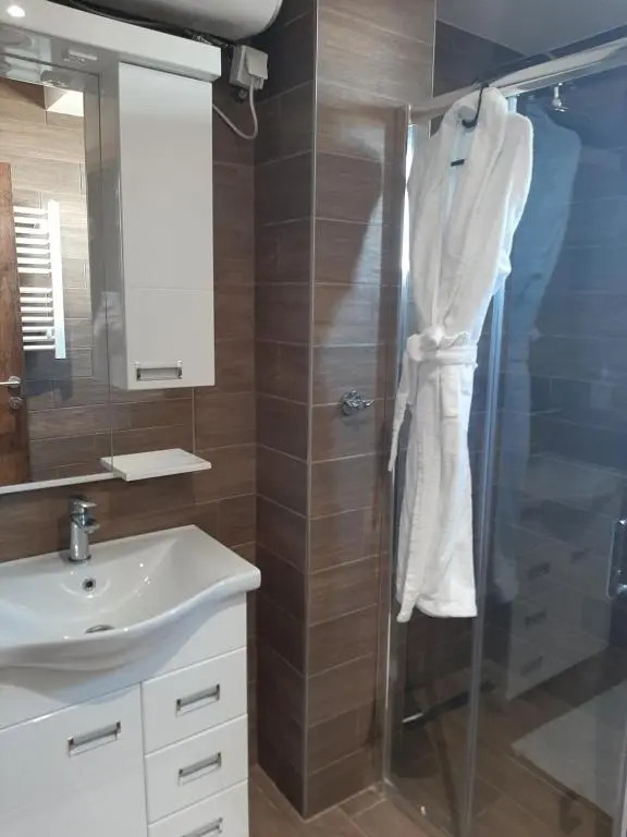 Ariš Kopaonik apartman A21
