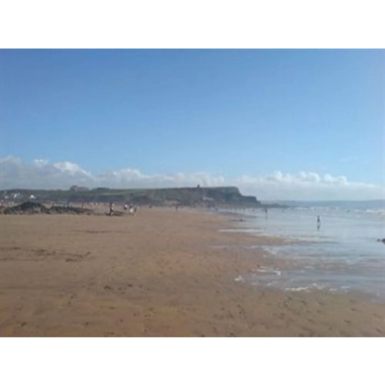 The Bude Haven