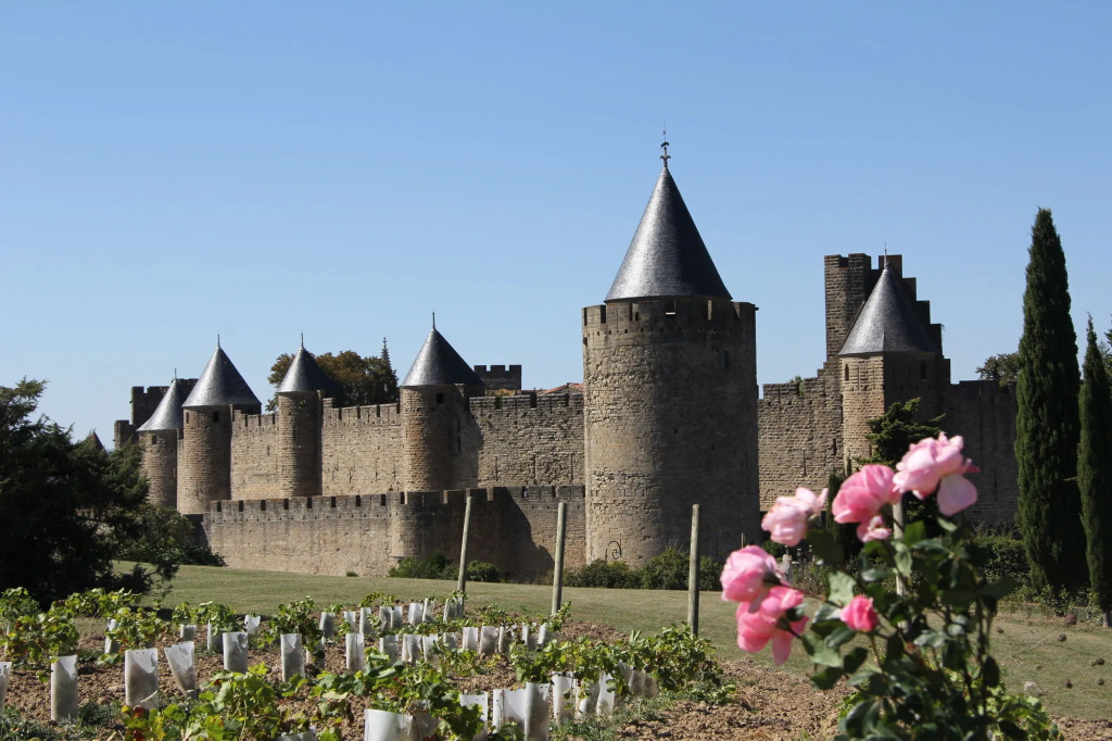 Pont Levis Boutique Hôtel - 50m Cité Remparts Carcassonne