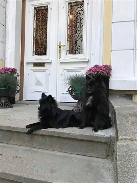 Temptation in Sofia