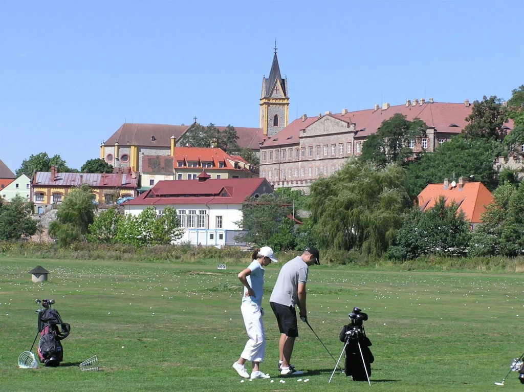 Záviš z Falkenštejna
