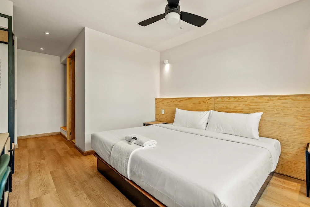 Musgo by Homi Rent