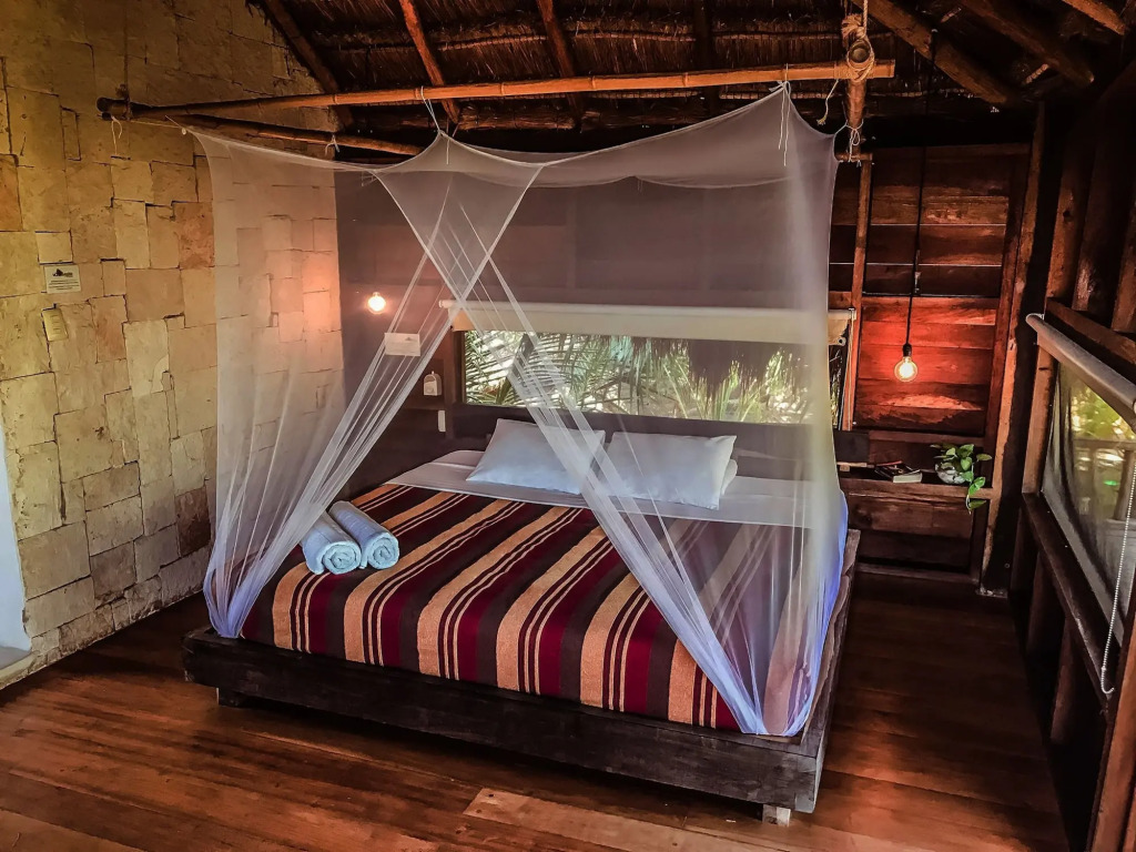Vida Silvestre Tulum