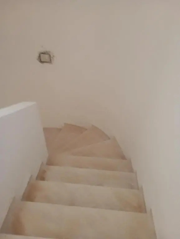 appartement S+0