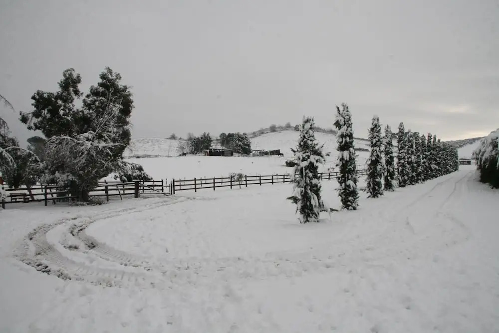 Tenuta Agricola Fonte Di Papa
