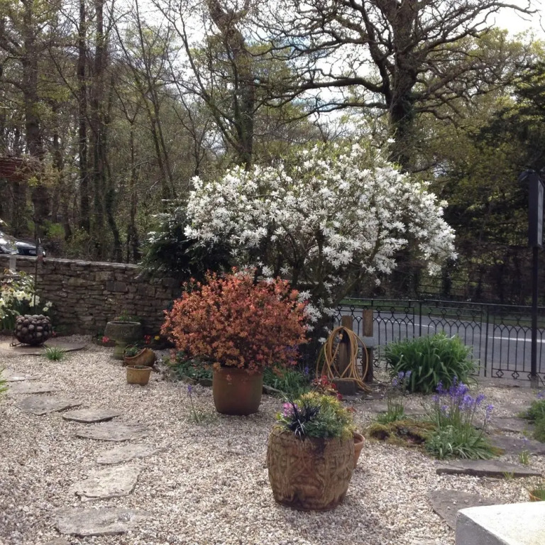 Clayhill House Bed & Breakfast