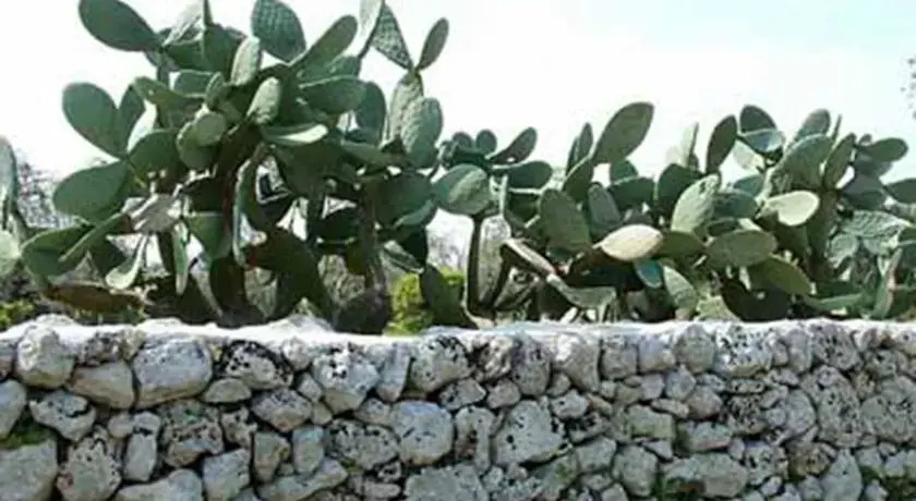 Vacanze in Puglia