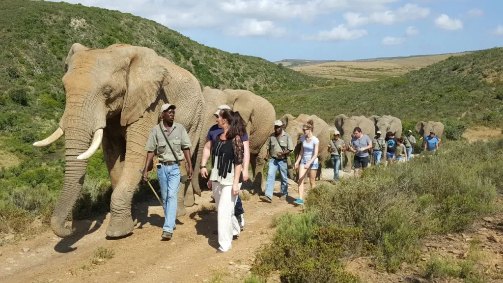 Indalu Game Reserve