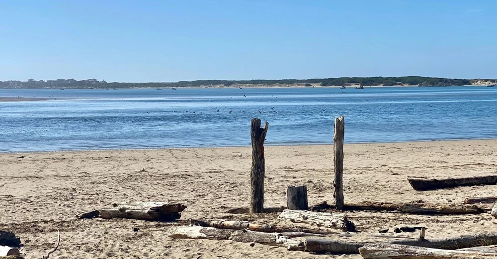 Waters Edge 101 Ocean Front