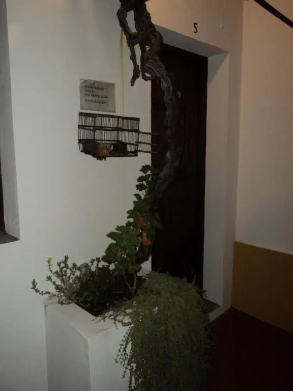 Alojamento Pero Rodrigues