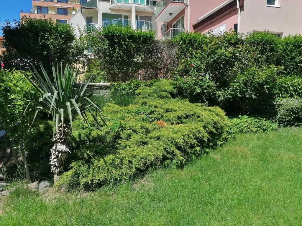 Sineva Del Sol Apartments