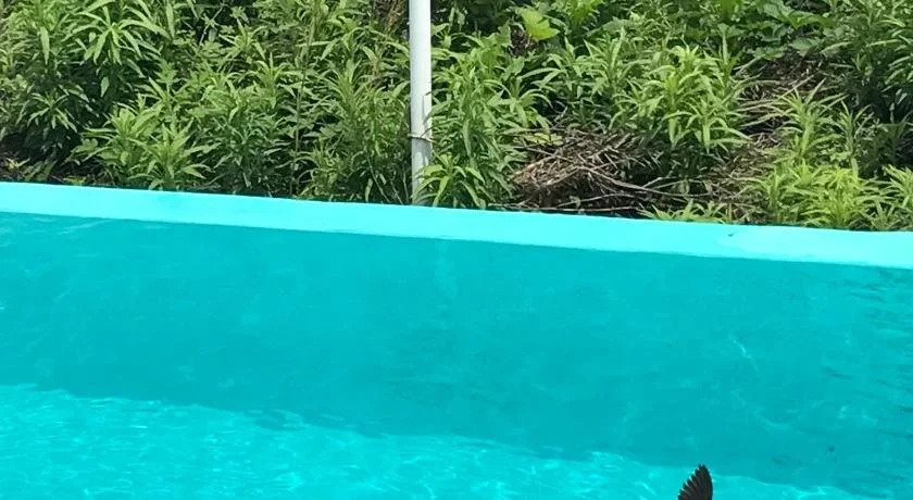 jeju 2JJ