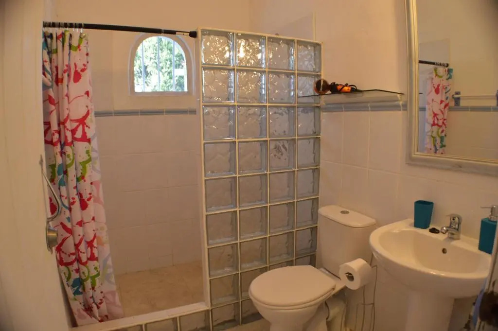 Tropical Gecko Studio - Sweet Jewel Apartments