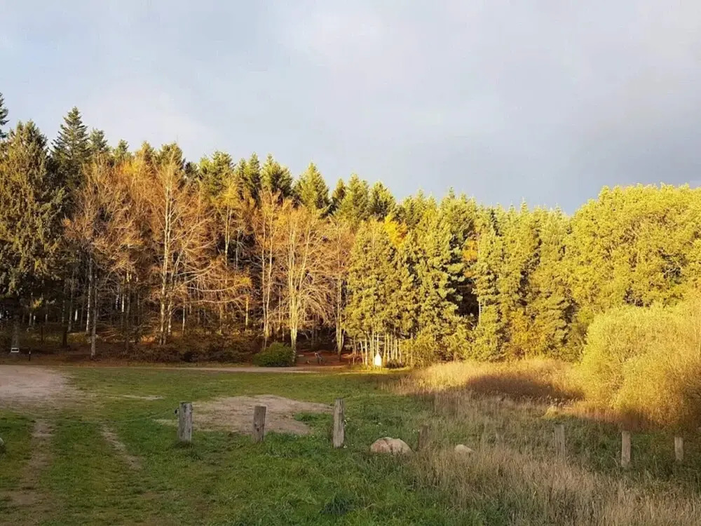 6 Person Holiday Home in Logstor